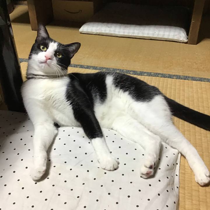 367e18c2 6a5a 43d1 8155 c1ec387fefcb 1657368461023