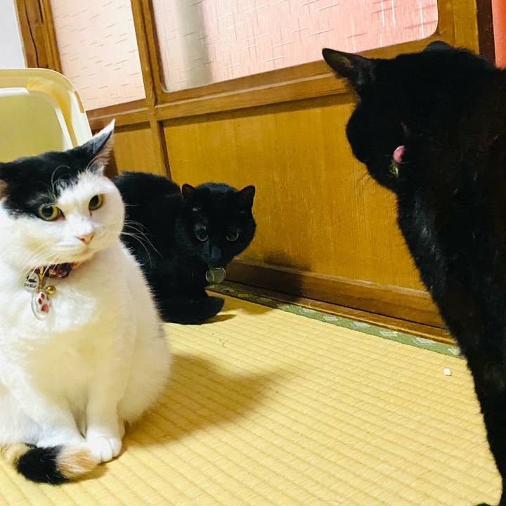 367e3066 239a 496e 8093 3303ec6029c1 1715295242782