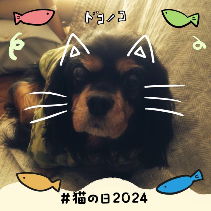 367e4278 3378 4d9e aaaf 48b1e17da8ed 1708567861982