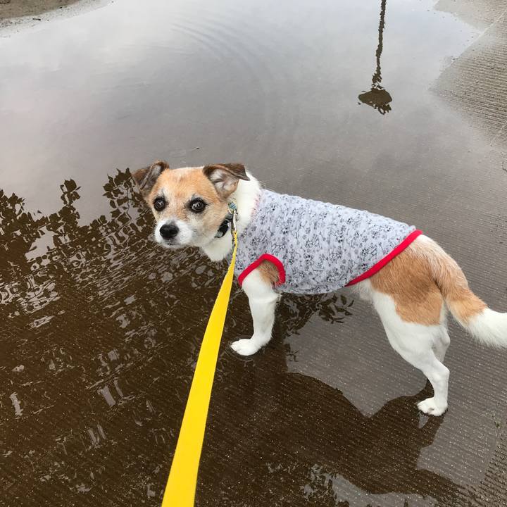 367ed0b2 3139 4908 9817 53889fa03854 1593639930846