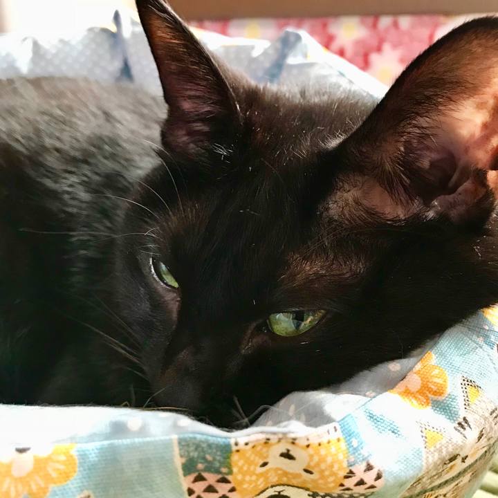 367edc34 d77f 435c a93d c4b21141aea3 1510366583155