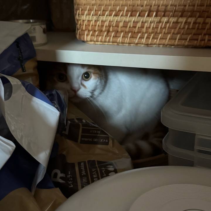 367effc1 61f8 4811 9363 1eb2ea941828 1774234668466