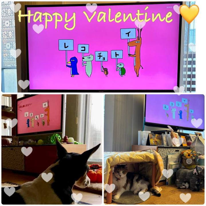 367f0212 e402 402b 80fa a5353ab7120b 1707862365489