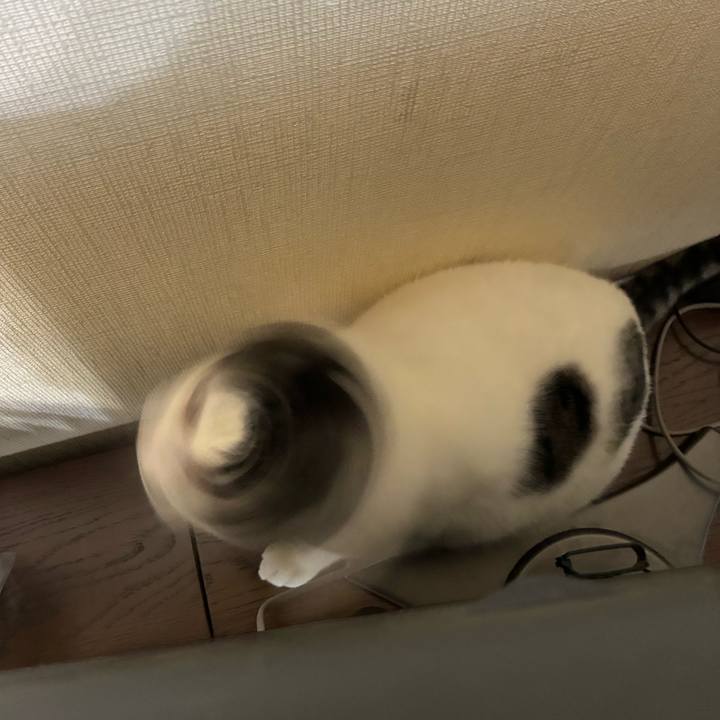 367f11f8 0db3 4df0 b2ad f95a2ca2d4aa 1762382961441