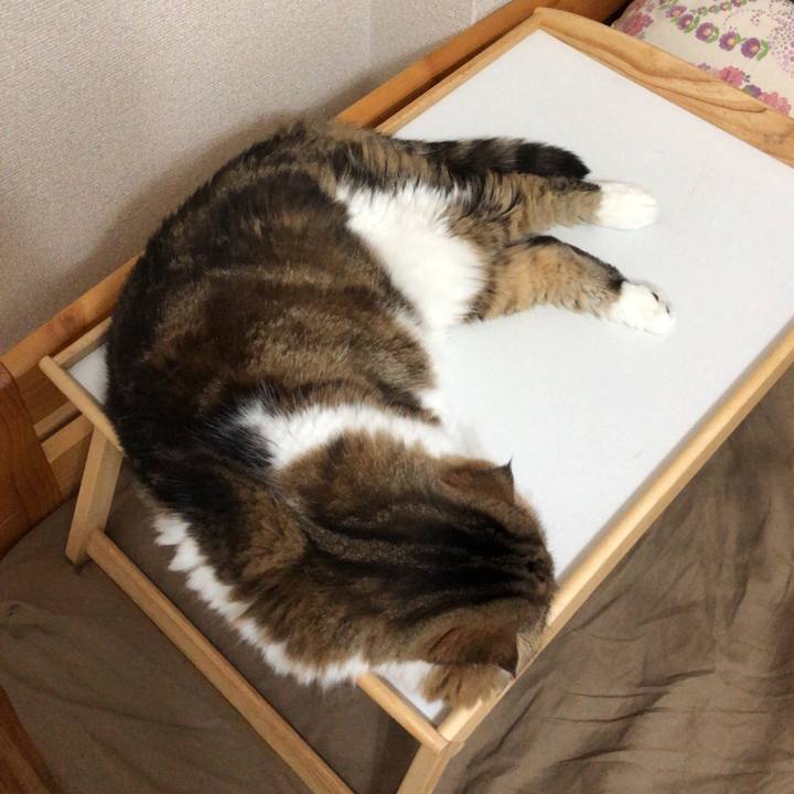 367fb17a 4a10 46d1 81f9 0a30dcfa5e29 1539063218372