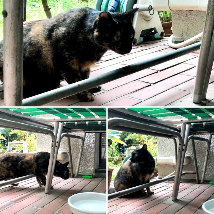 367fffb9 6b11 483b 92d4 00a4c76f67b7 1533084914904