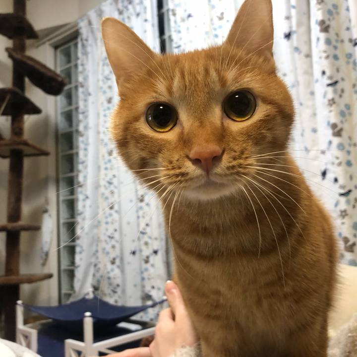 368063cc 6296 43a4 bf84 a7e6896f84f2 1605266060043