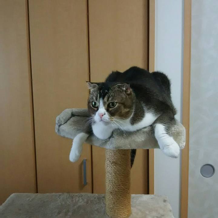 36806da5 2ade 40f4 8dcb 5e32745cd911 1538958159100