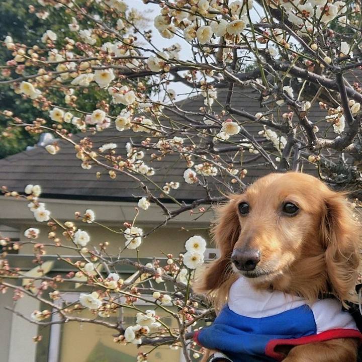 36807ce7 f600 4ba0 a539 995a496dd392 1707654644775