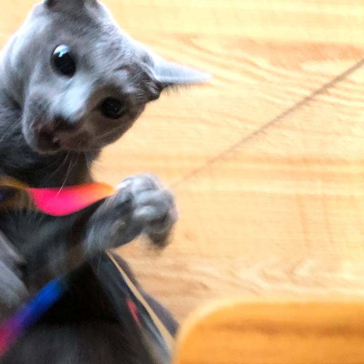 368087a3 22ad 4c7b 8e33 f1e3e6d2a704 1568688370974