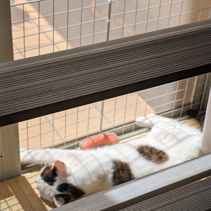 36808af5 d25e 46f7 acab 64a04d468a05 1714709491420