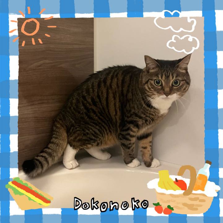 3680aeab be02 40a4 b6bd 544208317875 1744814541584