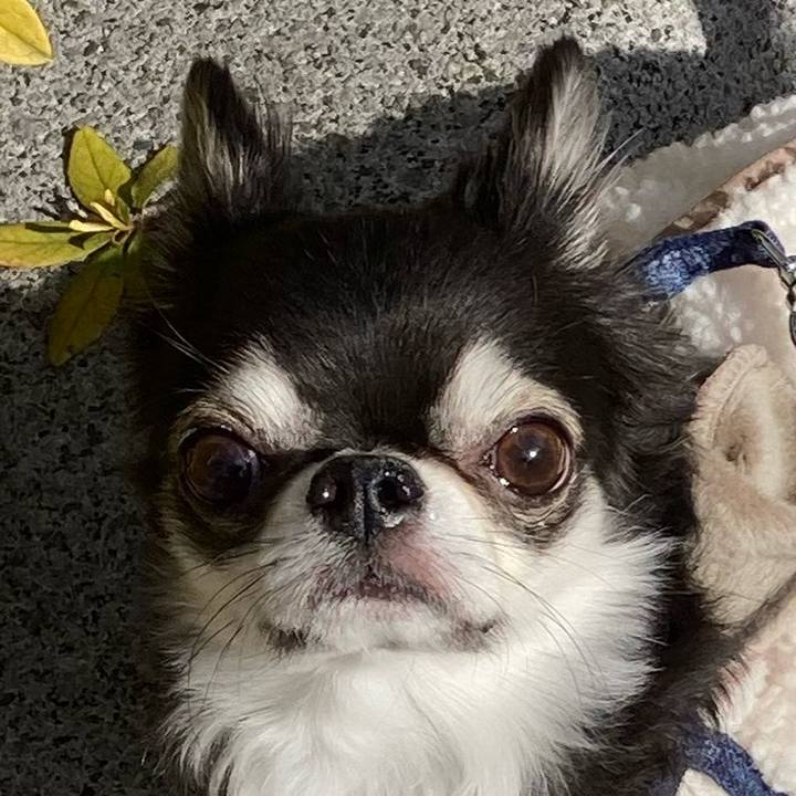 3681038a cf2c 47d8 a017 d58686e380df 1672375324913