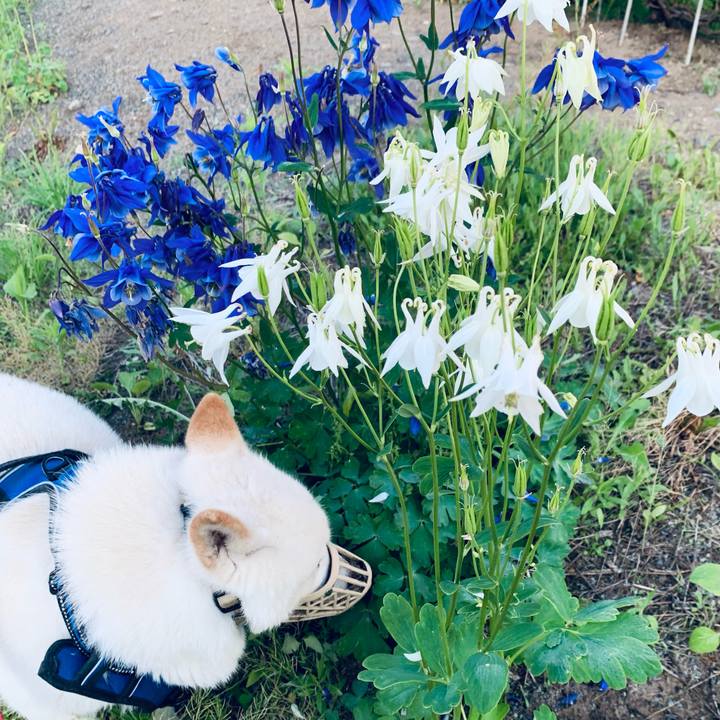 368108aa 0f8d 4c36 8383 ebc6b4c863e0 1624220447727