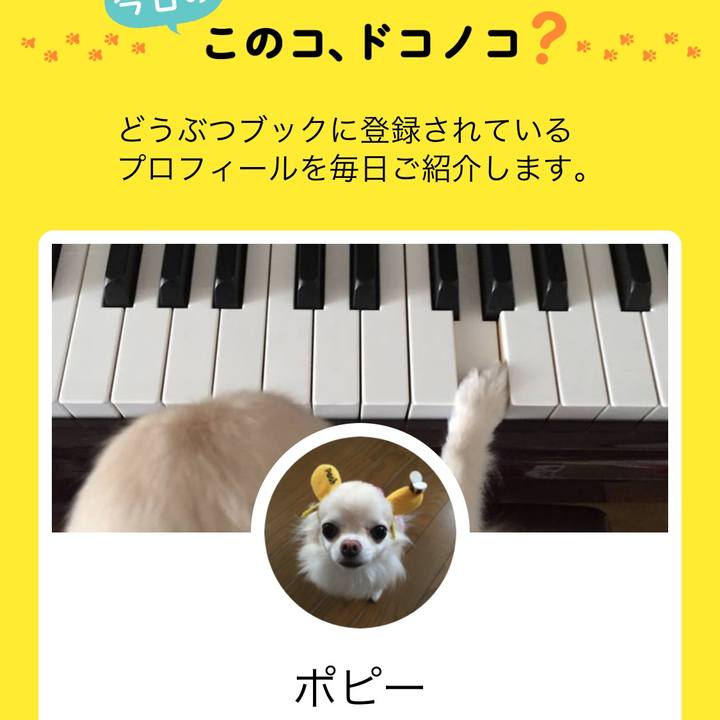 36811750 3034 4766 843a 226699e9fbd2 1560582134929