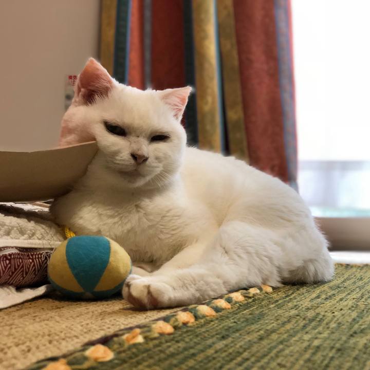 36814810 b0b9 497d 8975 254480a1d629 1533605434856