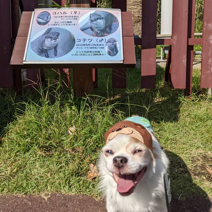 368148a4 cb5a 4857 acbb fda26cf4e3fd 1632462926782