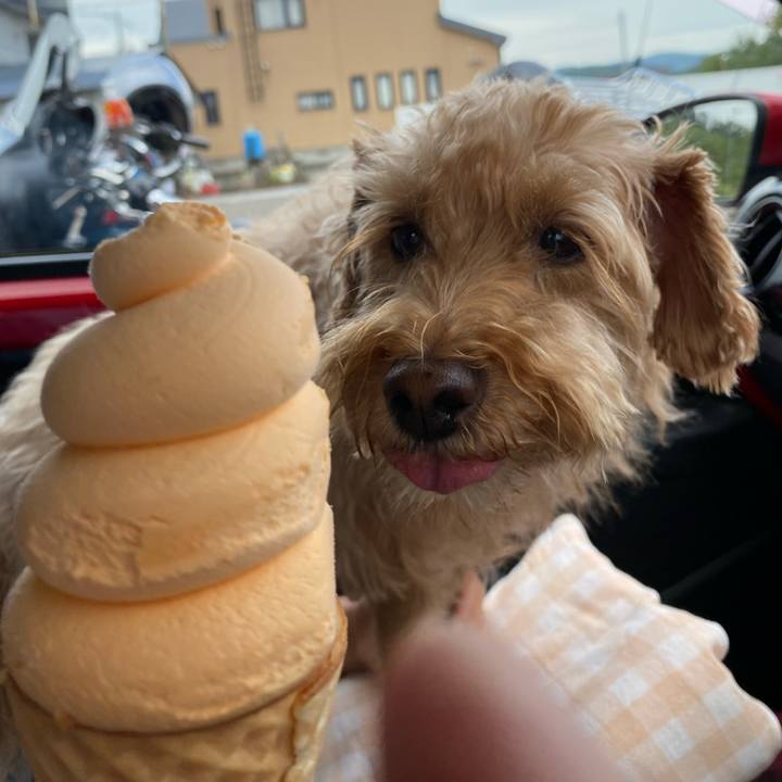 3681584b 0666 4128 9f5b d7a18e9e1e79 1661292996174