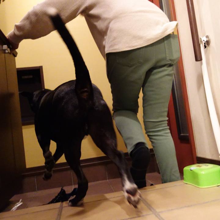 36819434 7609 4836 b814 150bea3a67f0 1731842126108