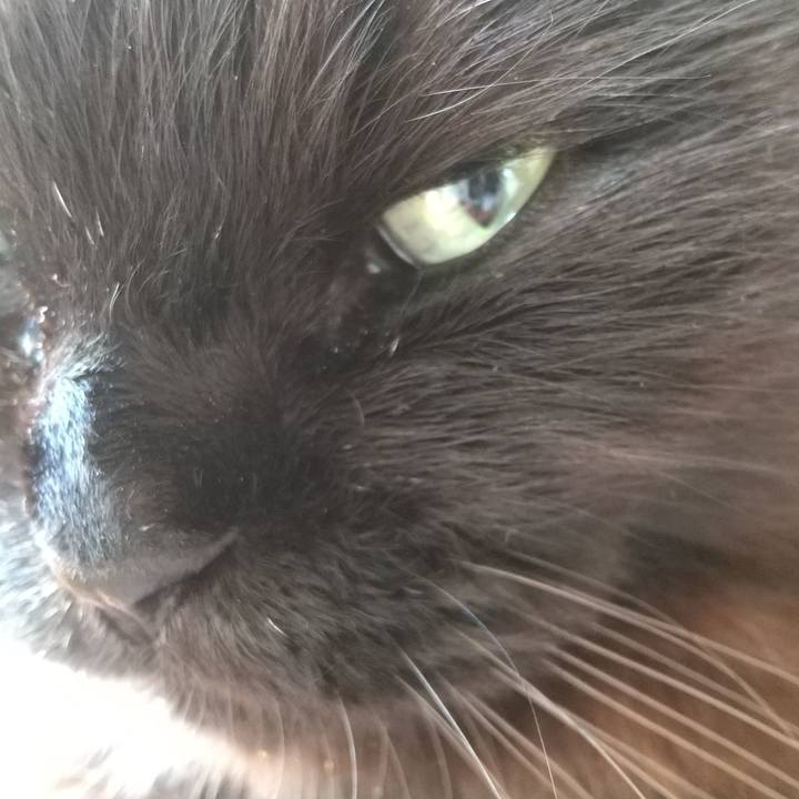 3681b7cf 6244 4653 9ec0 cc308b11d90c 1613863246816