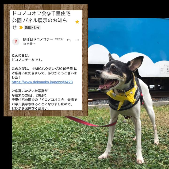 3681c29a 3850 4038 b64b 4c61b4fbd082 1558652633680