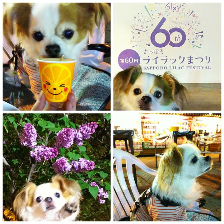 3681c9bb f430 4969 9854 518e71cf4792 1526818354591