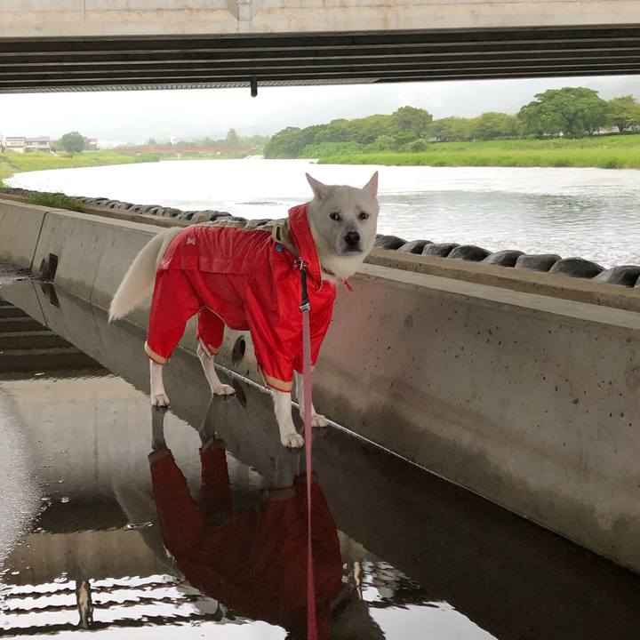 3681de66 25cc 4070 a780 dbe80cda274d 1566863497105