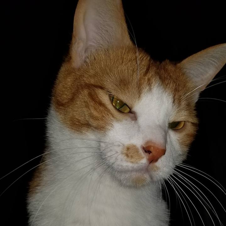 36821542 b069 40da 86ba 0536c33ca91e 1573484204226