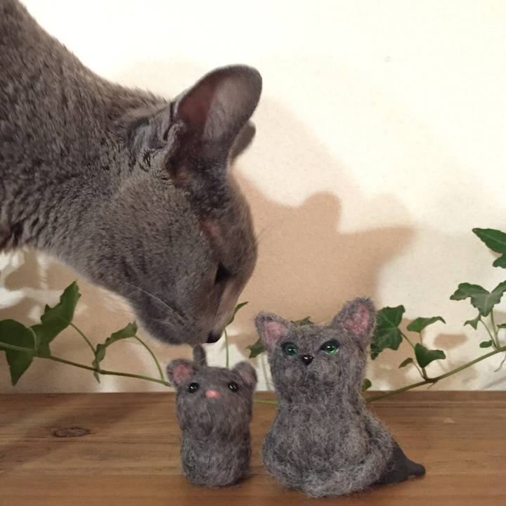 368242c1 13f3 401a a246 05a7d26824ea 1571835553619