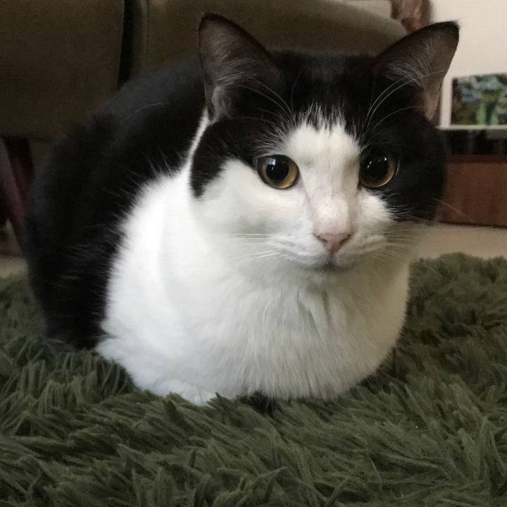 3682589d b014 4de1 984e 41d436e31292 1516870727560