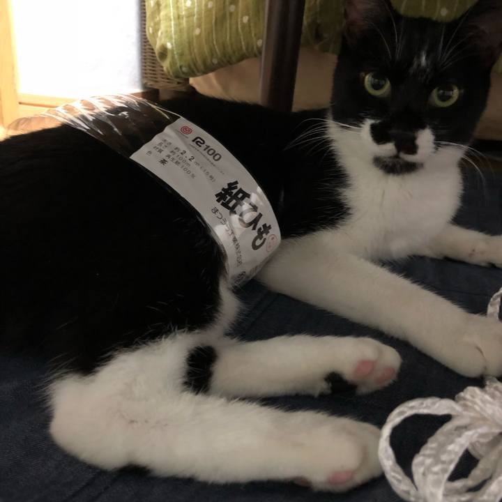 368277c0 8c86 4092 ae36 d461bb202ab4 1537220763666