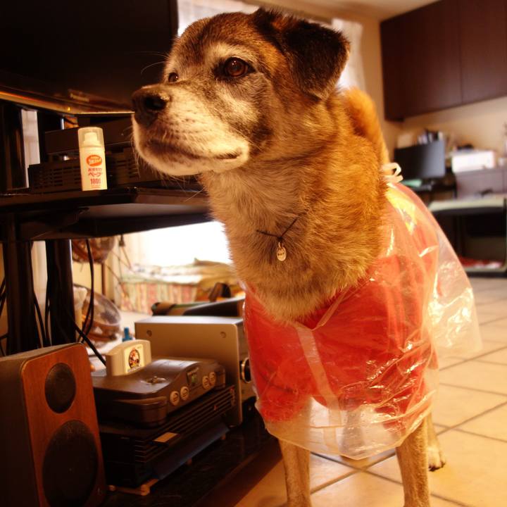 3682793f 0d2c 4689 8bd9 37f2a1c874de 1571703166472