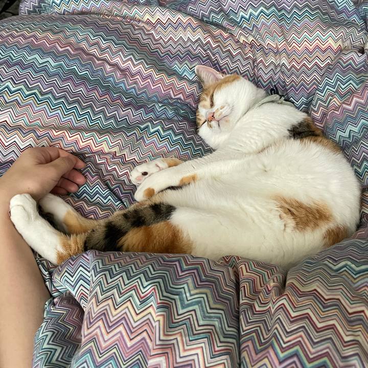 36827972 0619 4ebd b186 2153c2c3964d 1682034536171