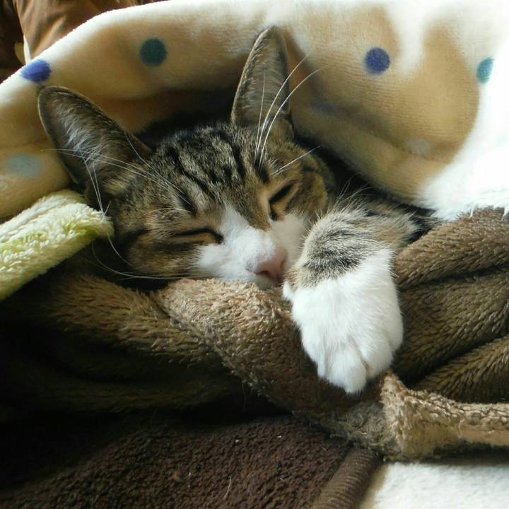 3682b48c 969c 40e5 87f4 45ec10f84d9d 1548660197390