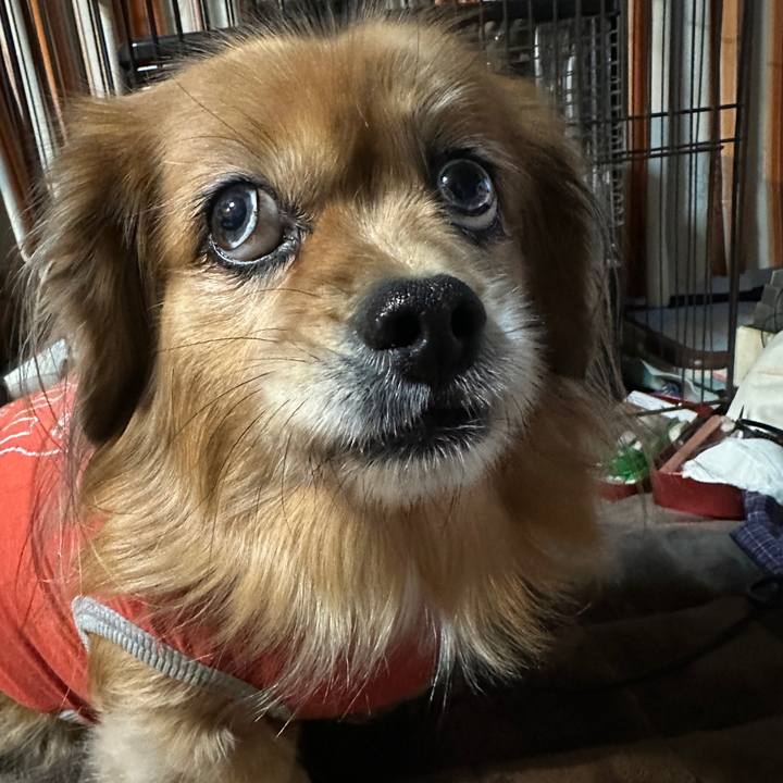 3682f40f cfea 4152 bc7c eabafc861bd0 1734384259001