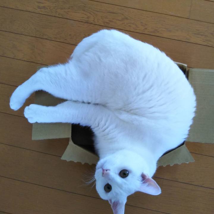 3682fd01 c931 4f23 8448 007b0bc07567 1593569240624