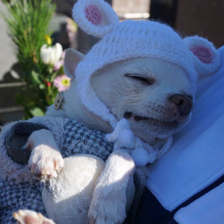 368310ba 50c8 43e0 aa20 8357ddb082fc 1577780184235