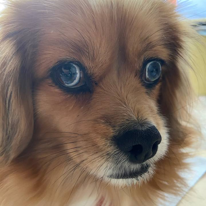 36831b5b 3e4c 4984 964c bb560993dcb3 1608941674384