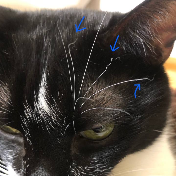 36836812 80ba 43a0 ae15 bcad299586f5 1633785574880