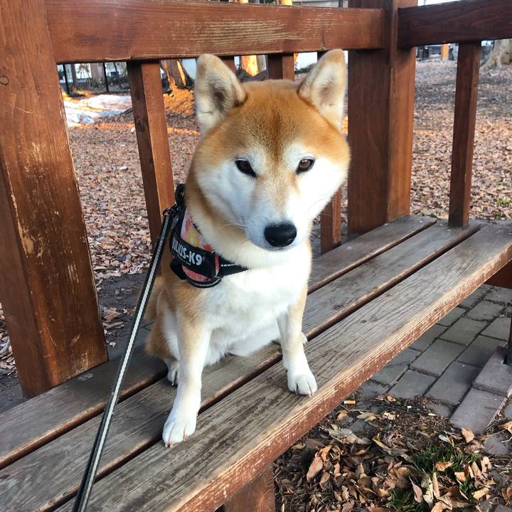 3683bce3 2855 4b6e b36d aa8645dec09a 1554633266535