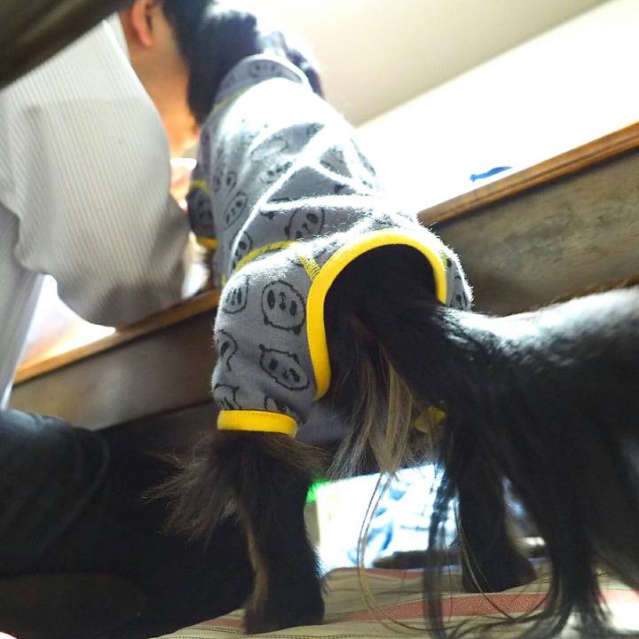 3683c3c6 0752 47e7 b103 a38042368dcf 1516666208772