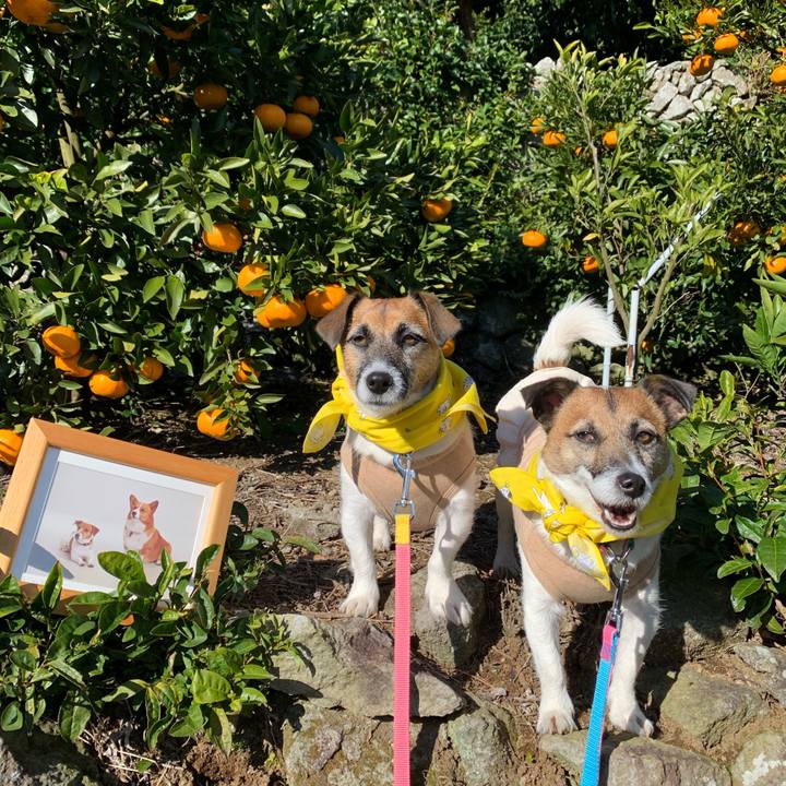 36844643 77c9 4ee1 9ca1 ef82357b370e 1639321839932