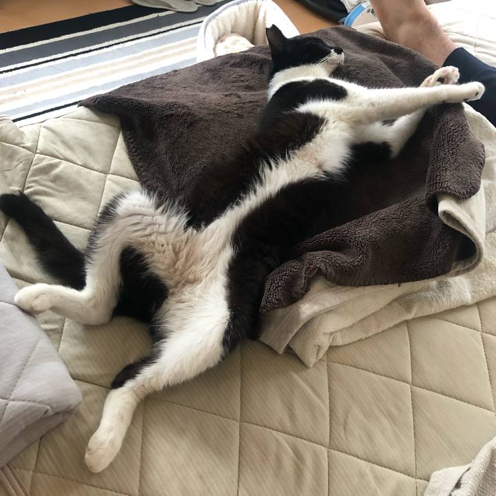 36844ba1 85f4 4e89 b00c 3de542241074 1596892439695