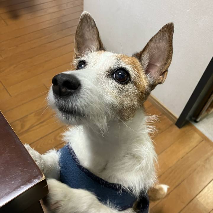 36847f9e f416 4010 87d2 b4e37e814106 1681775142619