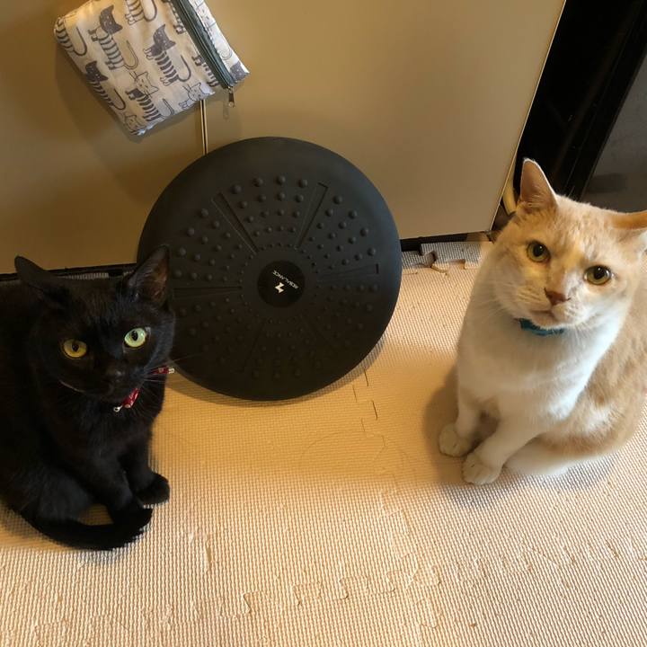 368484af af83 4edc 97dc 4857edd4bf4b 1625437770838