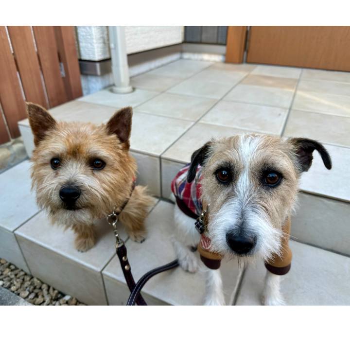 36849e6b 138d 46de 9e0c 0ae47652406d 1735997549289