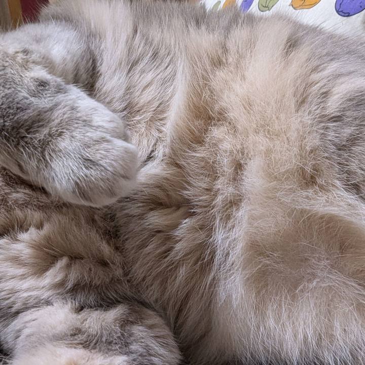 3684ea23 6cf0 440f b4c6 af28334a84bc 1730175839203