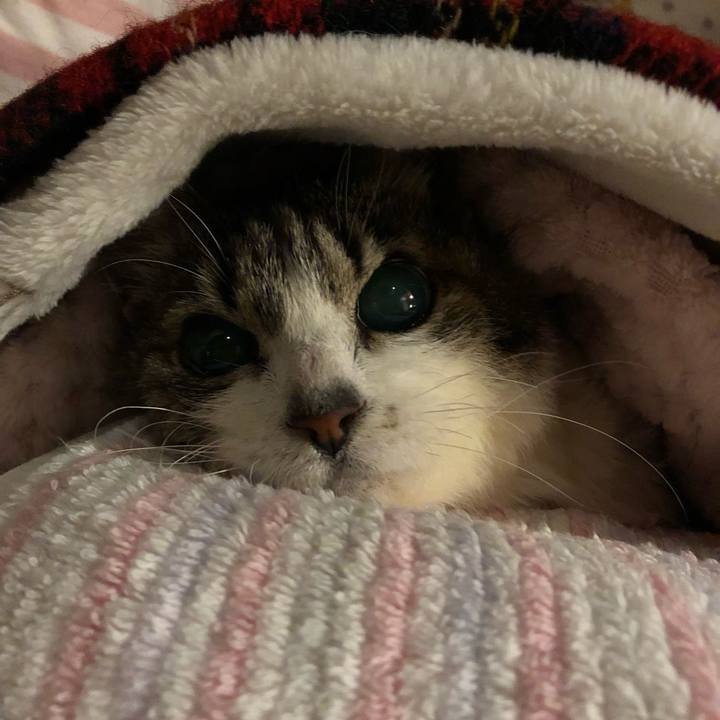 36858a0e 35c1 4482 b24b 6b714b94921b 1575210150909