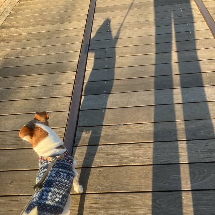 368590b0 58f1 45fa bf78 2276b43f21b2 1765930364608