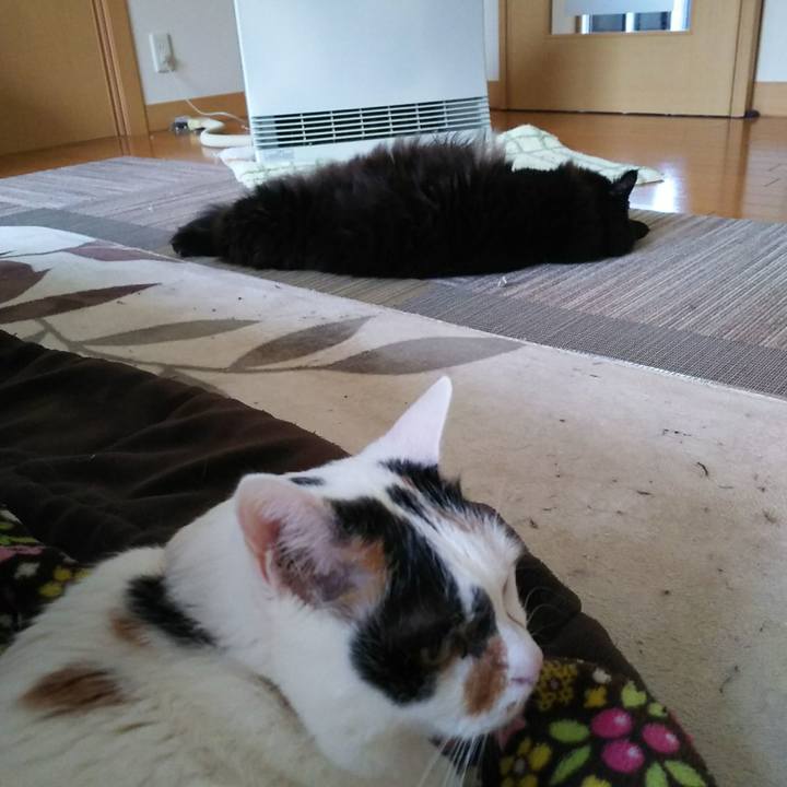 36859d49 a6a6 4672 a4e2 163ade2e7040 1549671092796